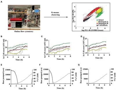 Non-inhibitory levels of oxygen during cultivation increase freeze-drying stress tolerance in Limosilactobacillus reuteri DSM 17938